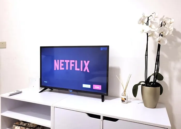 Apartament Vatichome